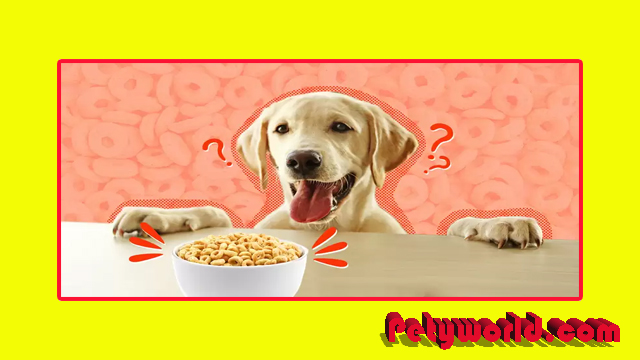 can dogs eat cheerios cereal