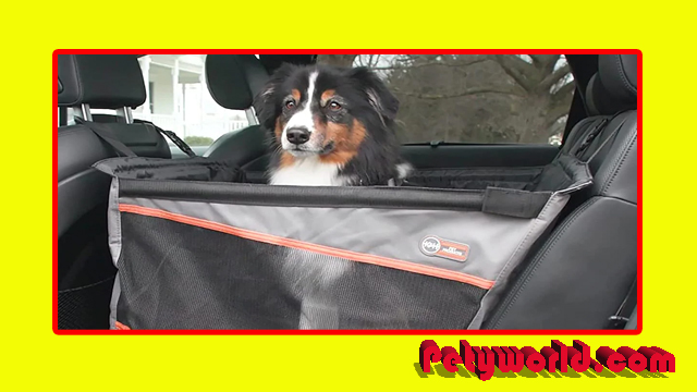 11 Best Dog Car Seats