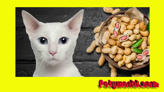 Can cats eat peanuts