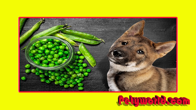 are snap peas safe for dogs